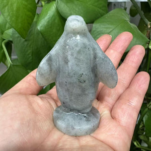 Hand Carved Crystal Penguin Crystal Animal Crystal Collection Crystal Gift Crystal Healing Crystal Reiki