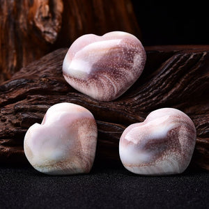 Natural Heart Shaped Fossil Sun Shell Mineral Specimen Collection Home Decoration Reiki Ornaments Souvenir Healing DIY Gift