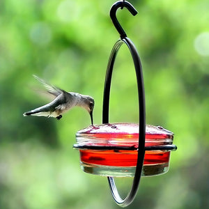 1pc Beautiful Hanging Hummingbird Feeder, Metal Bottle Humming Bird Feeder With Circular Metal Frame And Perch