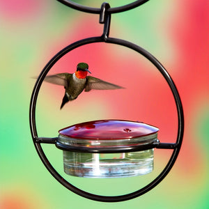 1pc Beautiful Hanging Hummingbird Feeder, Metal Bottle Humming Bird Feeder With Circular Metal Frame And Perch