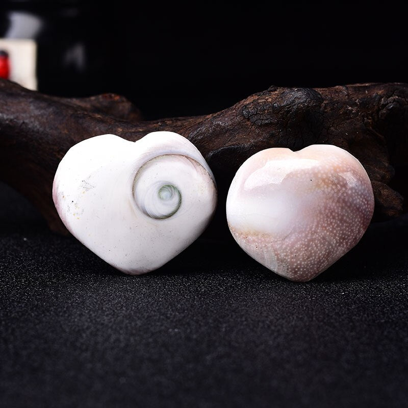 Natural Heart Shaped Fossil Sun Shell Mineral Specimen Collection Home Decoration Reiki Ornaments Souvenir Healing DIY Gift