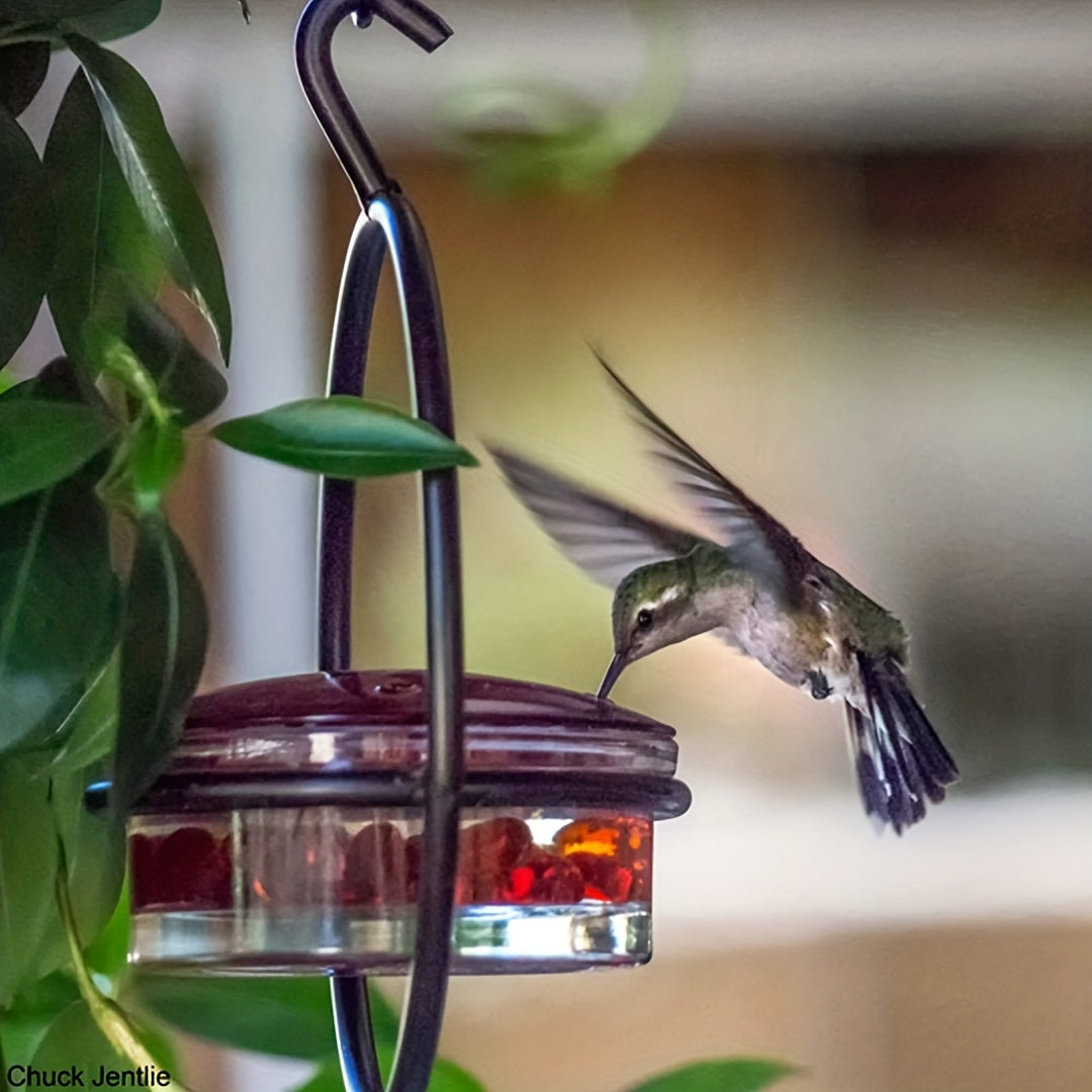 1pc Beautiful Hanging Hummingbird Feeder, Metal Bottle Humming Bird Feeder With Circular Metal Frame And Perch