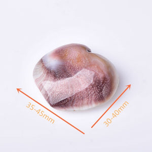 Natural Heart Shaped Fossil Sun Shell Mineral Specimen Collection Home Decoration Reiki Ornaments Souvenir Healing DIY Gift