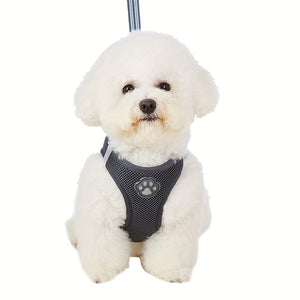 Comfortable & Reflective Pet Harness & Leash Set - Perfect for Dogs & Cats!