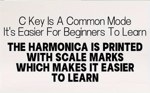 Professional Blues Harmonica 10 Holes C Key Blues Harp With Hard Case Perfect For Beginners Students Adults Professionals As Gifts