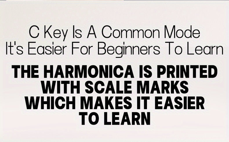 Professional Blues Harmonica 10 Holes C Key Blues Harp With Hard Case Perfect For Beginners Students Adults Professionals As Gifts