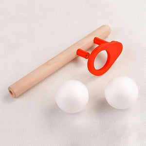 Montessori Materials, Wooden Toys, Schylling Blow Hobbies Outdoor Fun Sports Toy Ball, Foam Floating Ball