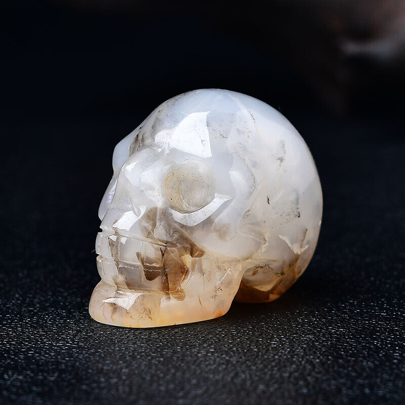 Hand Carved Mixed Gemstone Crystal Skull Healing Figurine Carving Home Decor